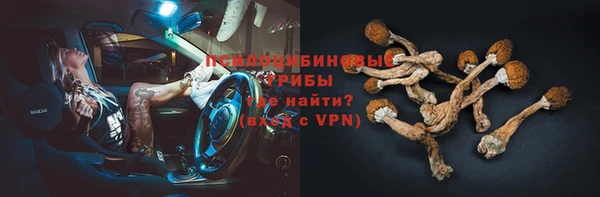 apvp Абаза