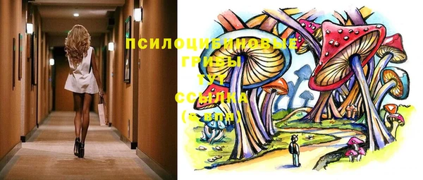 apvp Абаза